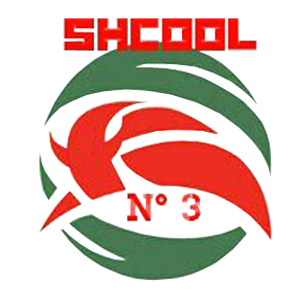 СШ№3 