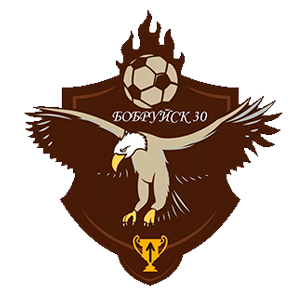 Бобруйск 30