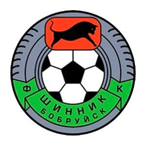 Шинник